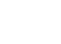 Max Verdie Logo