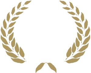 max verdié ganador del mejor show de hipnosis 2017